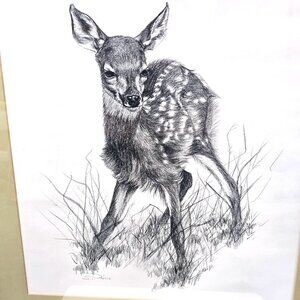 Fawn First Step Artist Sketch Signed in Pencil